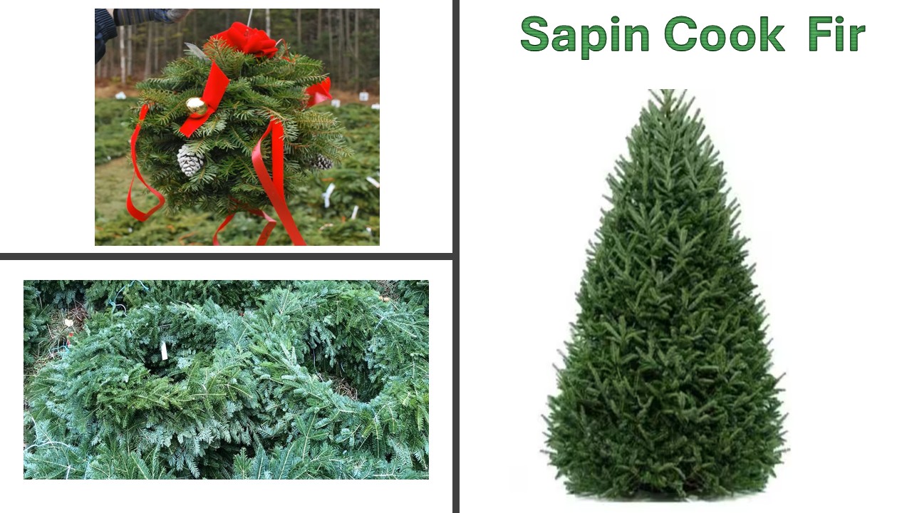 Décorations de Noël