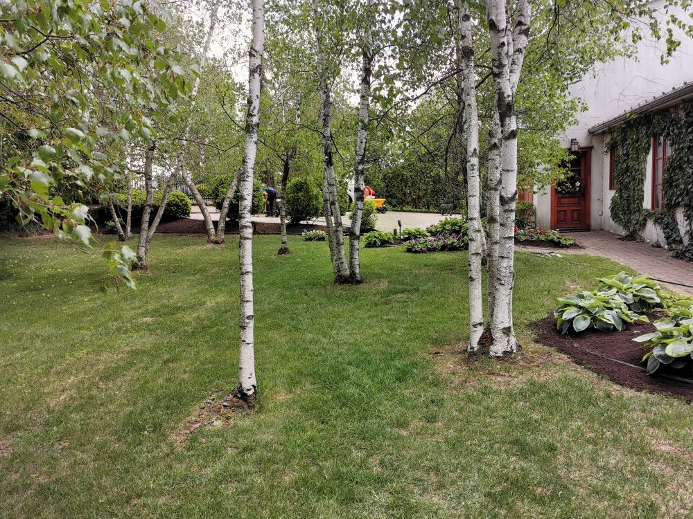 Nettoyage du printemps