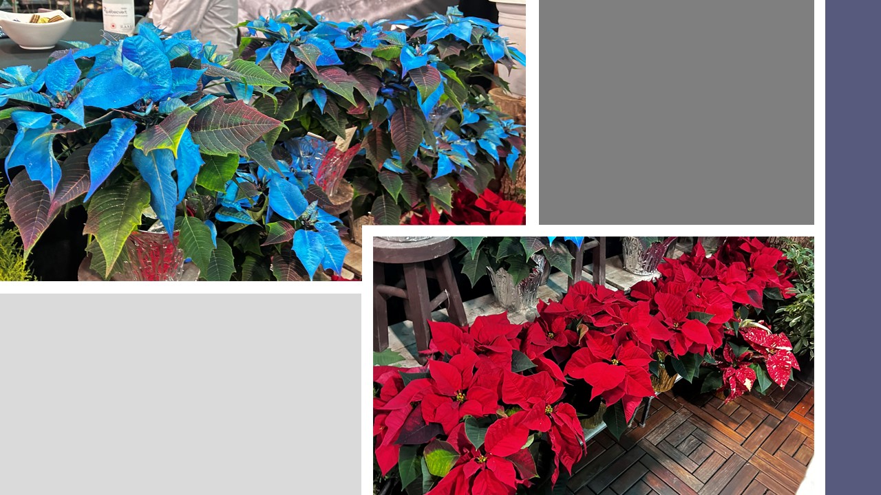 Décoration de Noël